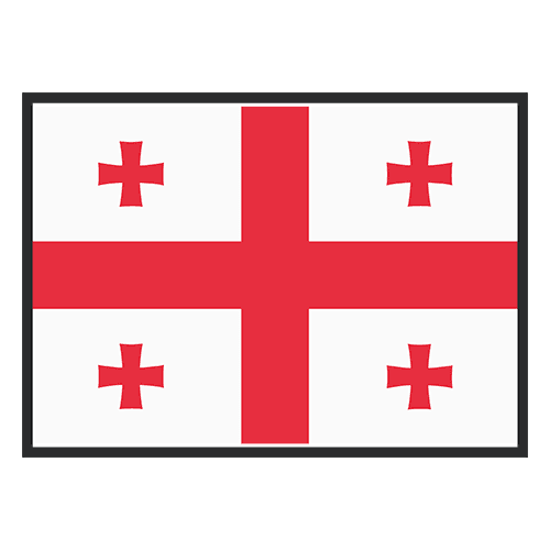 Nikoloz Basilashvili logo